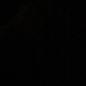 Meet your Posher, Ray